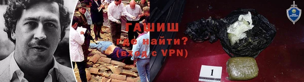 сатива Волосово