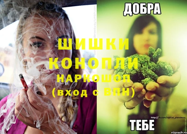 соль ск Володарск