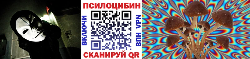 купить наркотики сайты  Новая Усмань  Галлюциногенные грибы прущие грибы 